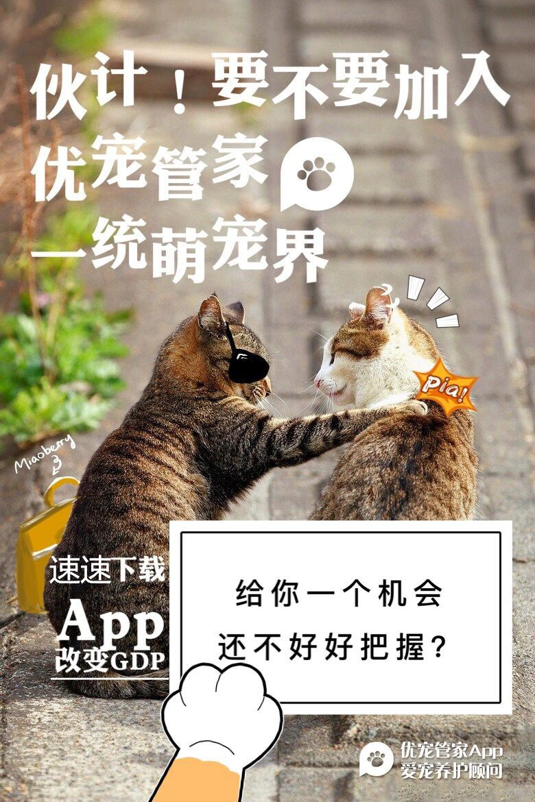 狗狗吃了异物拉出来后如何护理,狗狗吃异物后拉血怎么修复肠道