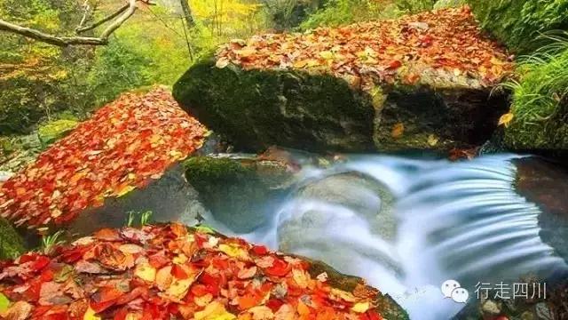 四川景点必去十大景点五月,四川5-6月最美的地方