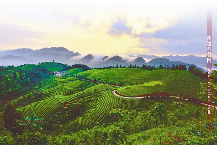 美国fda的副作用,美国fda基因治癌