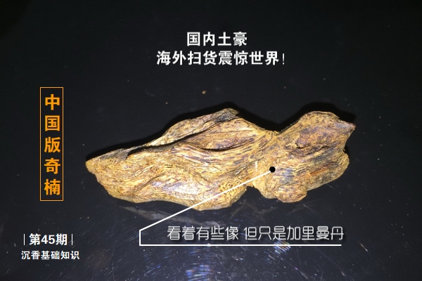 土豪扫货沉香惊世界中国版奇楠名声在外-沉香基础知识45