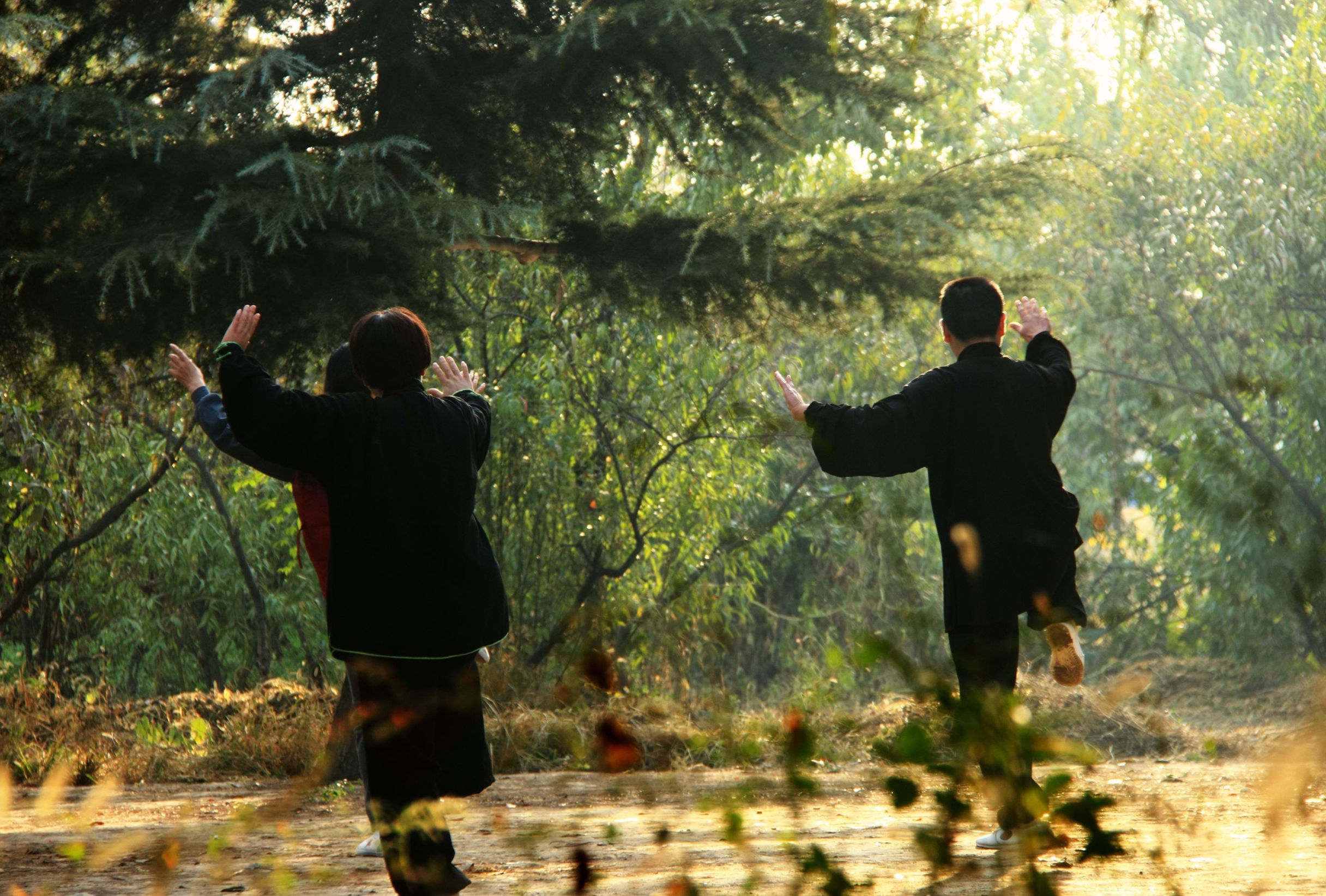 河南的拳种有哪些,河南三大拳