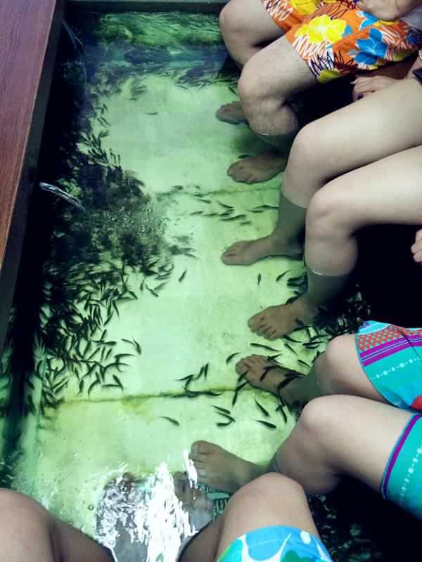 普吉岛旅游攻略7日5晚,普吉岛的海岛之旅