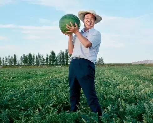 农产品种植痛点,农产品的卖点和痛点怎么找