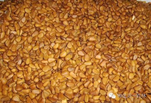 鍚夋灄甯傚幙鍖烘湁鍝簺,鍚夋灄甯傛湁鍝簺鍘垮尯