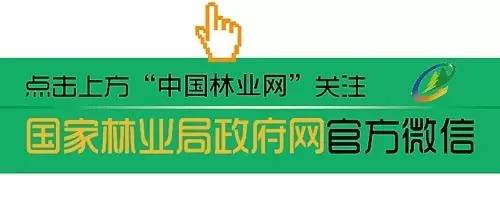 发挥林业科技引领作用,科技支撑农业发展的思路与对策