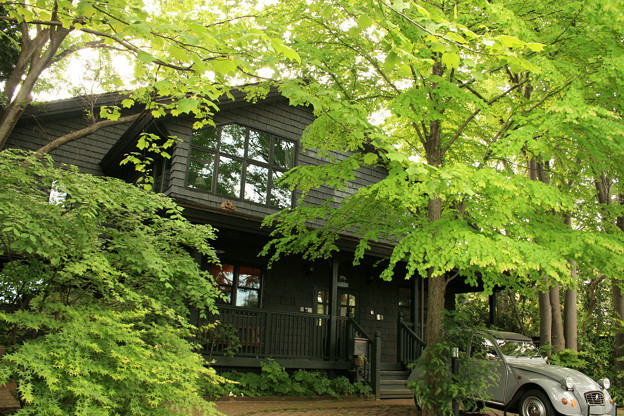 押井守的电影全集,对押井守经典动画作品的看法