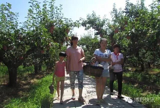 26个英文字母，带你绕着博野走一圈！