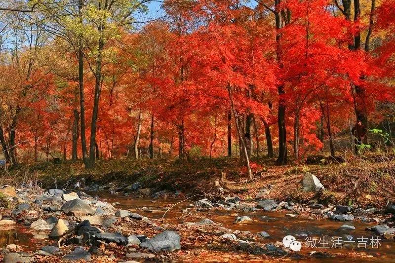 鍚夋灄甯傚幙鍖烘湁鍝簺,鍚夋灄甯傛湁鍝簺鍘垮尯