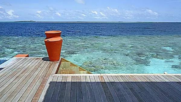 美国丛林历险片,加菲猫丛林历险