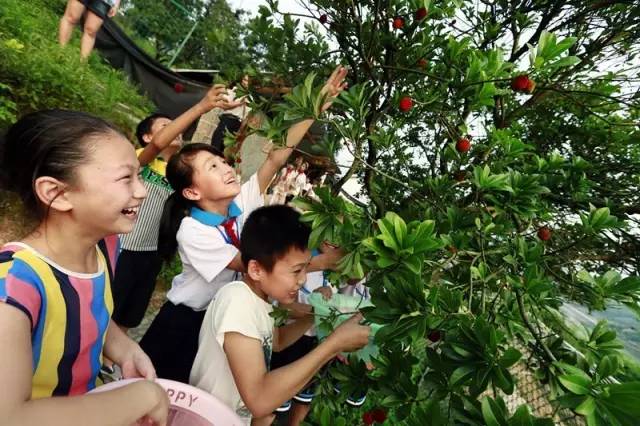 g20杭州峰会体验馆学生研学,g20峰会大学生思政课