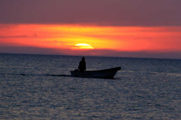 亚庇ow考试流程,亚庇ow多少钱