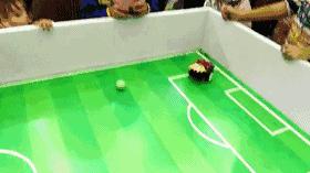 第四届科博会炫动绵阳：“科技创新·军民融合·开放合作”