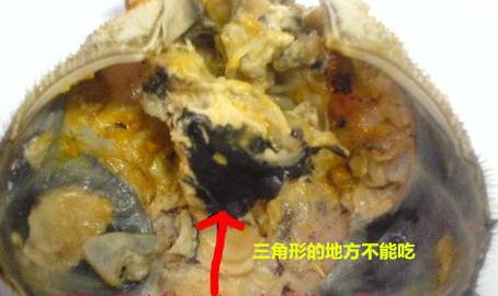 教你吃螃蟹的几个小妙招,螃蟹要蒸30几分钟怎样吃螃蟹才熟