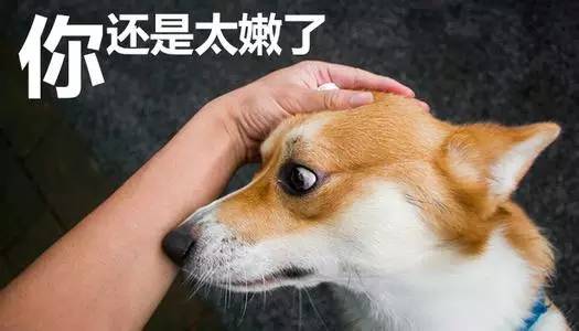 和你侃:国家队操盘手KPI考核满分!