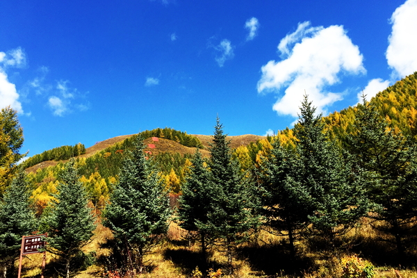 说走就走沙漠,说走就走张家口