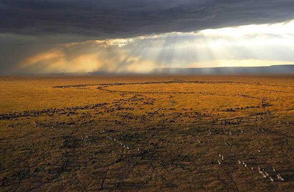 身价数十亿的他除了去无人区摄影，险些丧命，还用了6年时间和30多位石艺老匠人打造了一家不想挣钱的艺术馆
