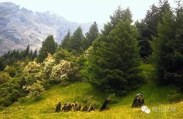 再跨一步，就是我离家最远的一次——我的青训教练之旅