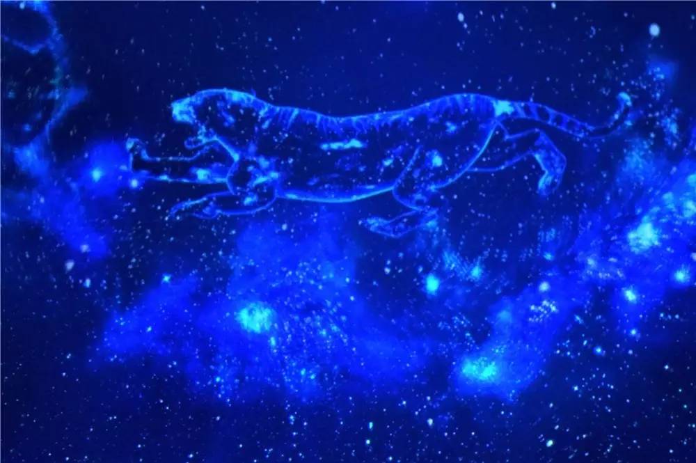 乐多港奇幻乐园需要买门票吗,乐多港奇幻乐园项目攻略