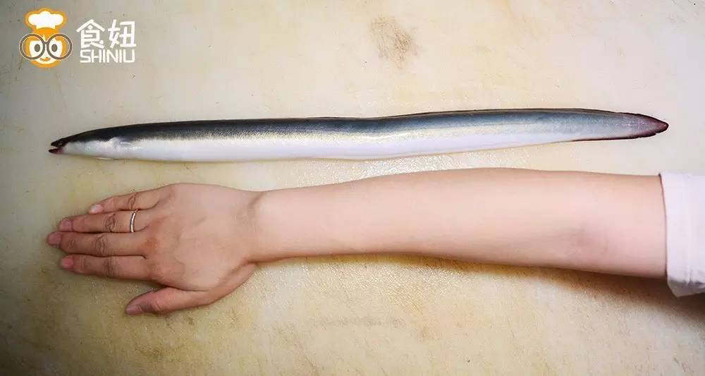 鳗烤肉现烤活鳗鱼探店,食妞