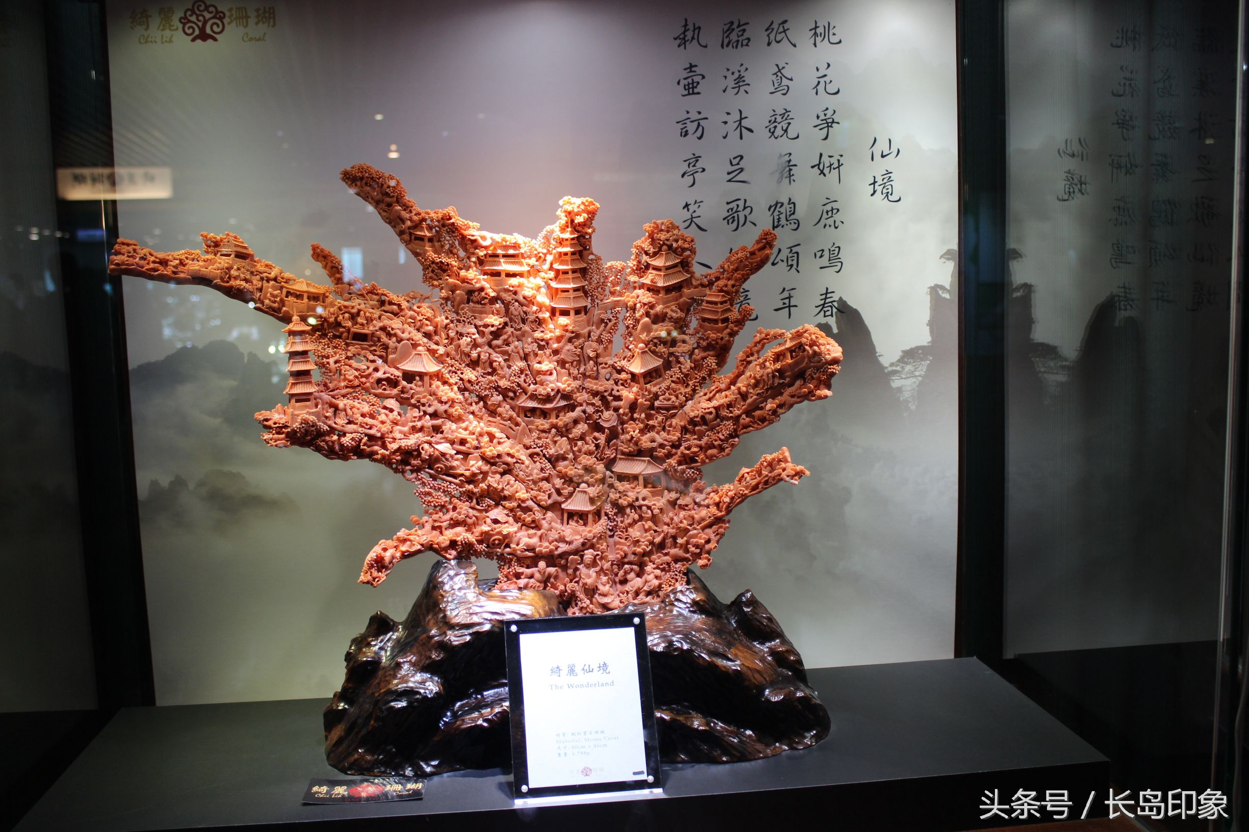 红珊瑚台湾寓意,台湾红珊瑚和日本红珊瑚的区别