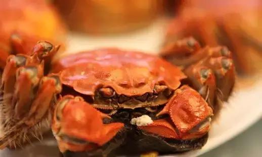 大闸蟹知识教程,大闸蟹基础知识培训