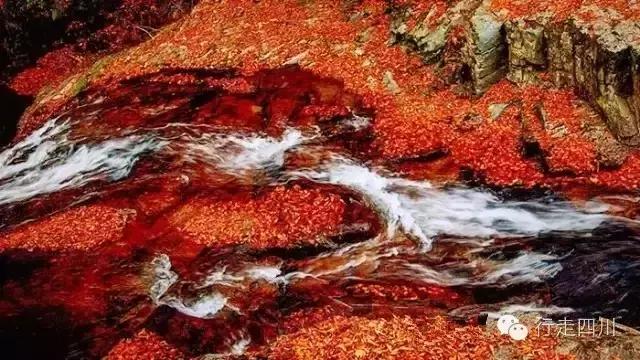 四川景点必去十大景点五月,四川5-6月最美的地方