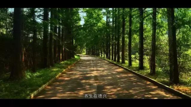 一个你来了就不想走的魅力城市,一个你来了就不想回去的地方