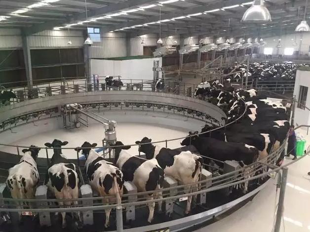 绍兴滨海新城有什么新消息,绍兴滨海新城发展