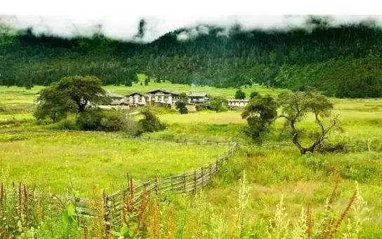 广东的草原在哪,广东附近哪里有草原