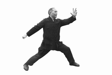 河南的拳种有哪些,河南三大拳