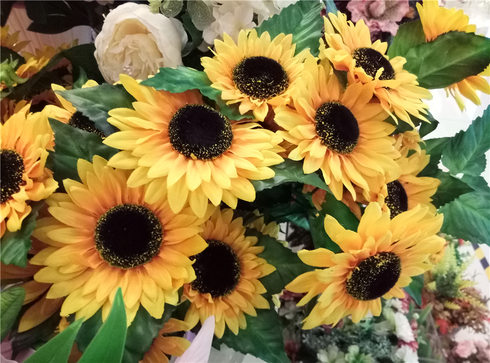 颜值加持,魅蓝e全部参数