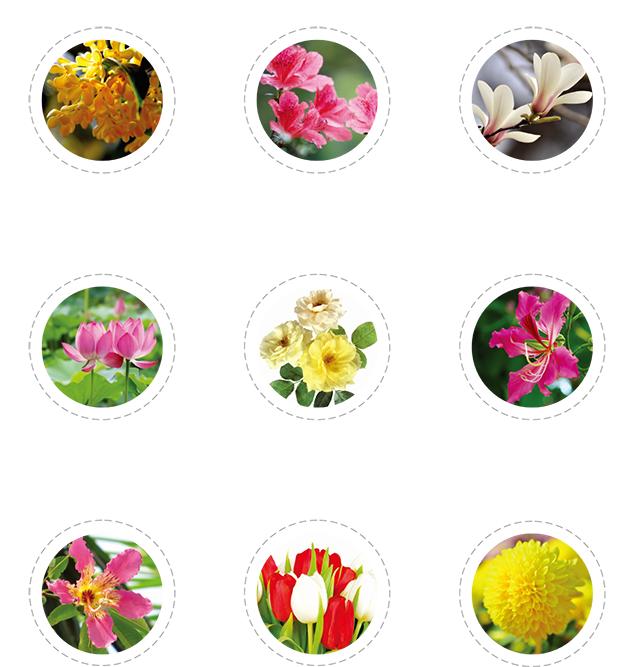 特级老师小学语文课,特级教师语文公开课二年级