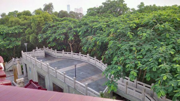 黑莓手机开箱最新款,黑莓手机功能开箱