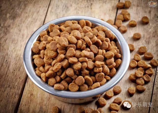 狗狗牙齿发黄怎么去除,狗狗牙齿黄怎么办