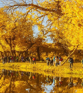 额济纳旗胡杨林旅游攻略住宿,额济纳旗胡杨林民宿住宿