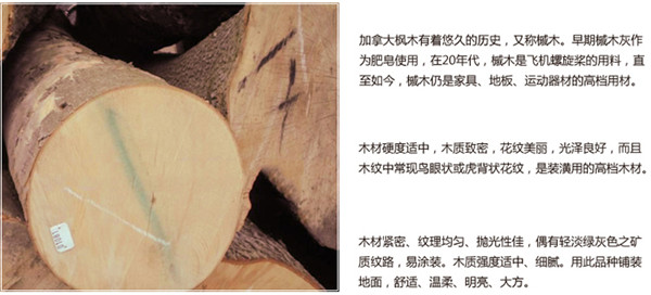 实木地板哪种材质的好,实木地板哪种材质比较好