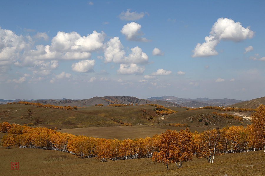 坝上草原雪景航拍,坝上草原秋景美图