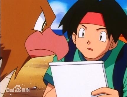 小智旅行的所有同伴,小智为什么只带着皮卡丘旅行