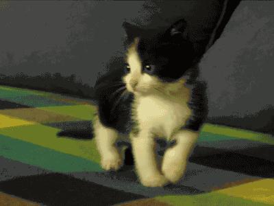 在工地当会计,在工地当会计很吃力怎么办