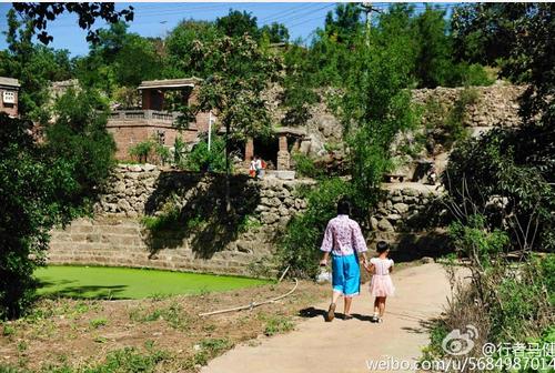 邢枣仁图片,邢枣仁是内丘的还是哪里的