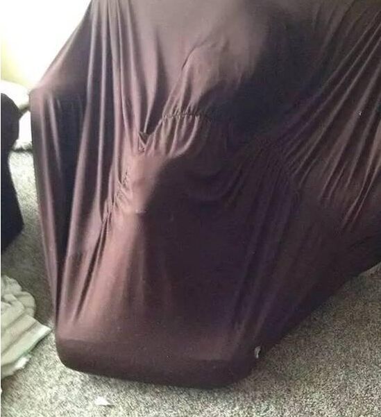 狗狗太贪玩怎么办,狗狗贪玩不进笼子怎么处理