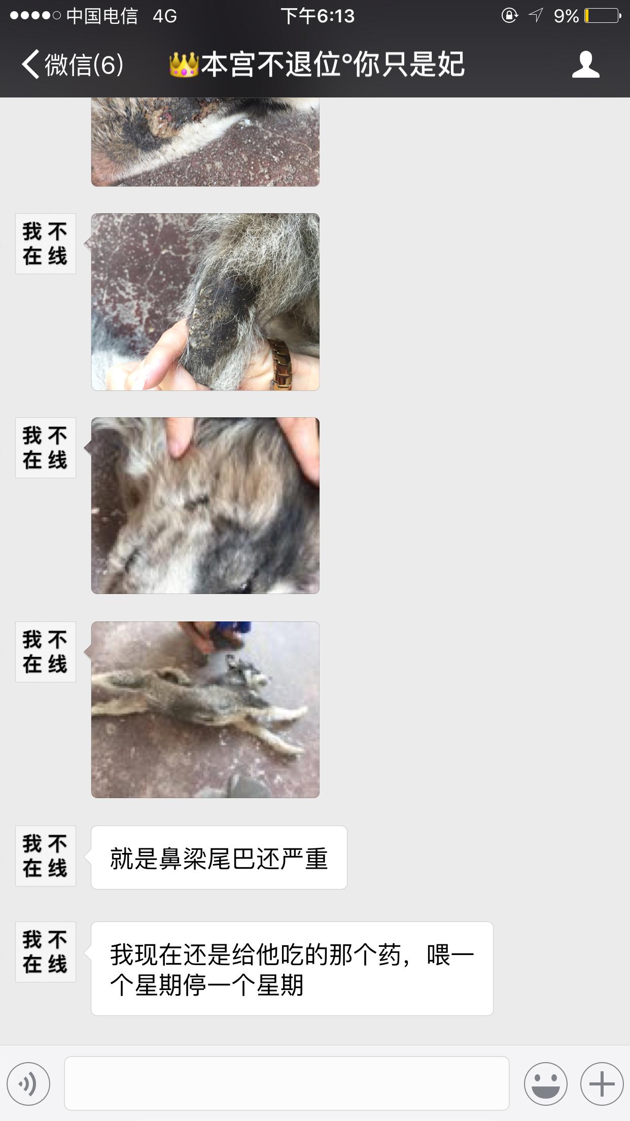 给狗狗洗澡后变样了,如何不给狗狗洗澡也能变干净