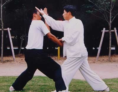 河南的拳种有哪些,河南三大拳