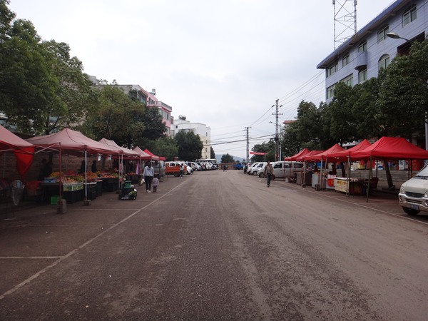 村环境卫生整治活动效果,竹园社区环境卫生整治