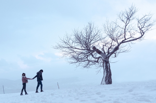 日本小樽在哪个地方,日本北海道小樽