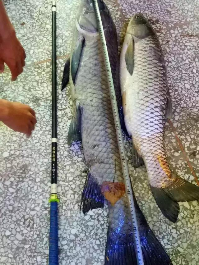 閽撻奔娓旇幏鎴樻姤,閽撻奔浜虹鎭╃埍