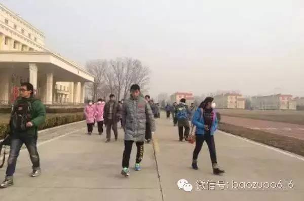 喜欢荧光绿的鞋子,张继科为什么喜欢小蓝鞋