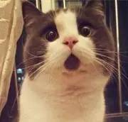 心脏二尖瓣出问题是怎么回事,心脏二尖瓣修复后应注意什么