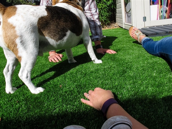 最小年纪摄影师,最小的摄影师6岁作品