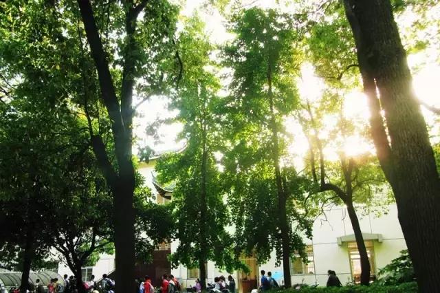 有一种情怀叫乡愁作文,有一种情怀叫乡愁